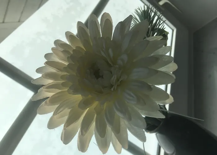 Séjour chez l'habitant H&e